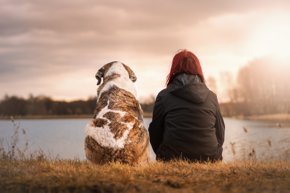 Top 8 Essential Queries to Consider Before Presenting a Pet as a Gift